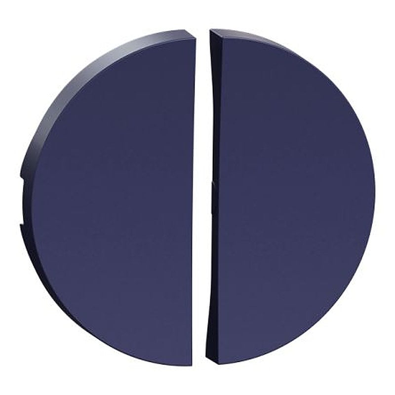 Schneider Electric Screw Blue Faceplate, Flush