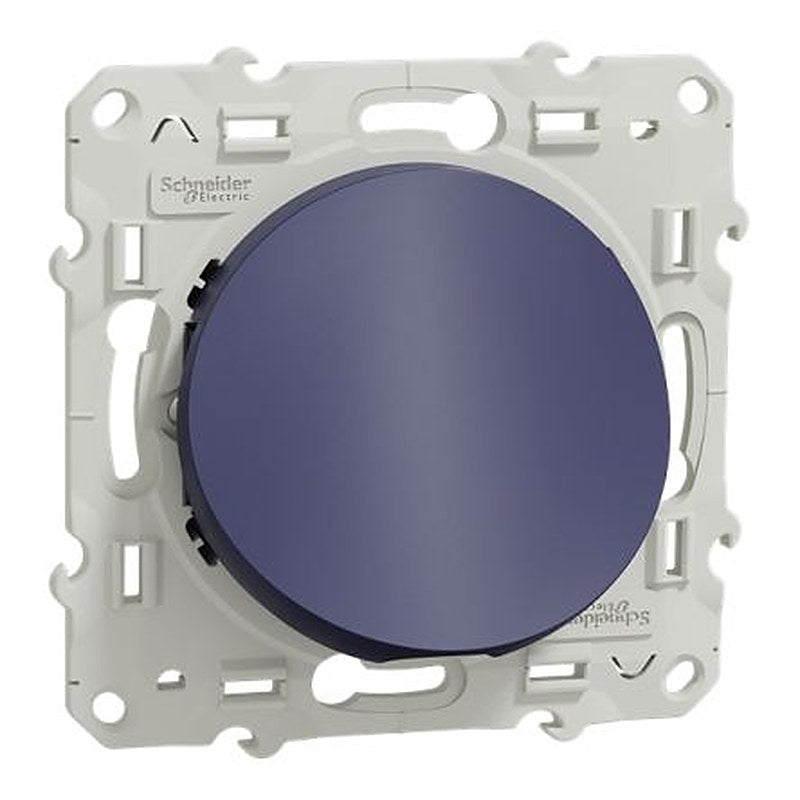 Schneider Electric Screw Cobalt Blue Wall Plate Module, Flush