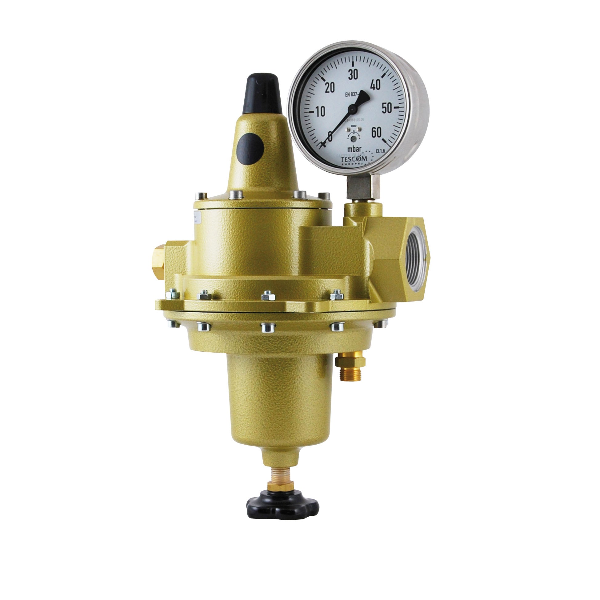 TESCOM Regulus 4 Dual Stage Regulator