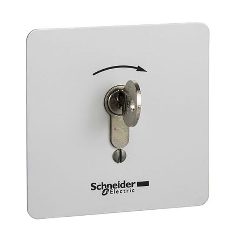 Schneider Electric Control Station Switch - 1 NO, Polycarbonate, 1 Cutouts, Dark Grey, No Markings, IP65