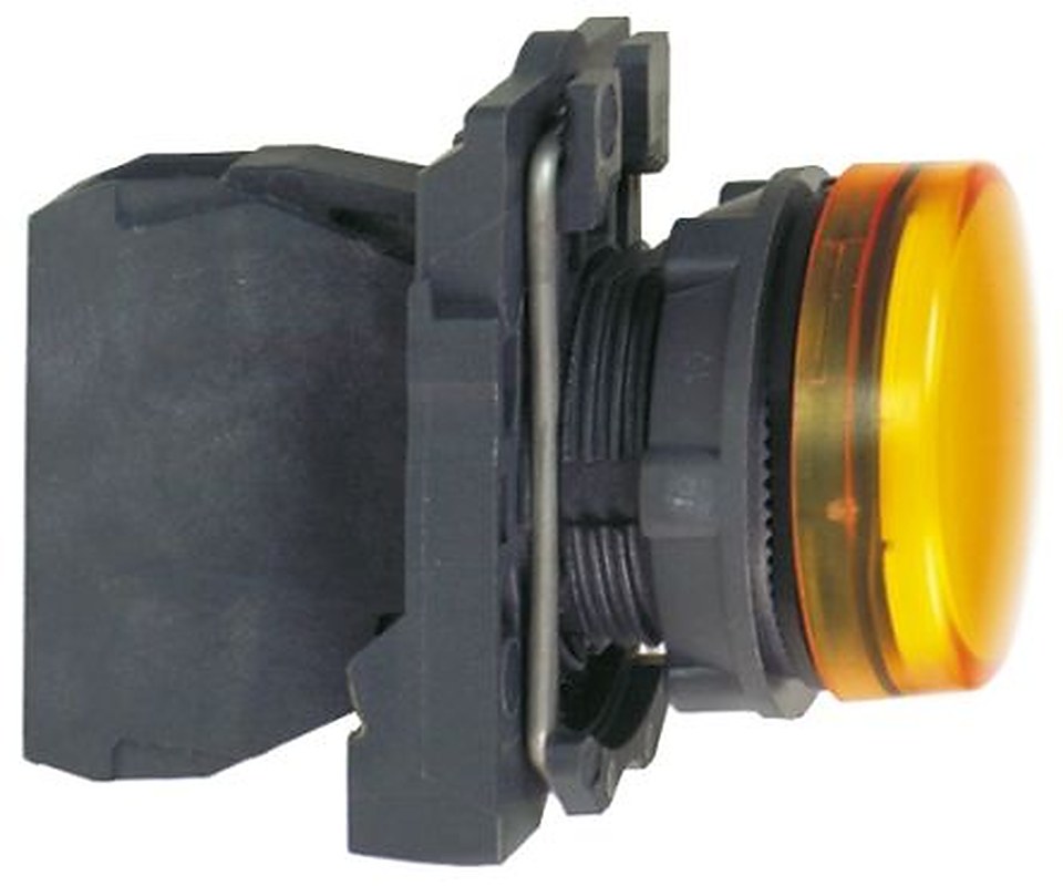 Schneider Electric, Harmony, Panel Mount Orange LED Pilot Light, 22 mm Cutout, IP67, IP66, Round