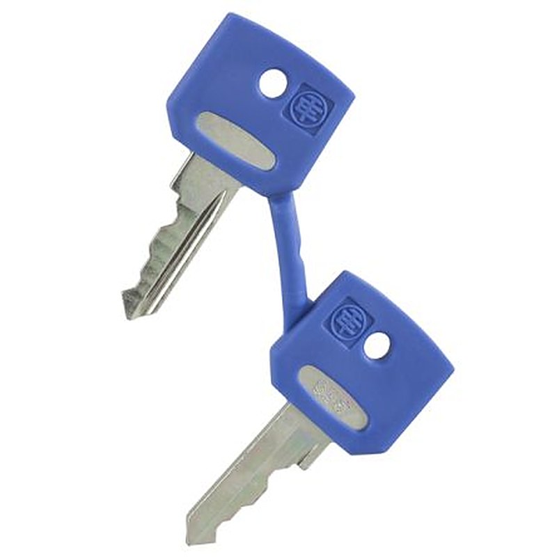 Schneider Electric for Fiat Type of Lock