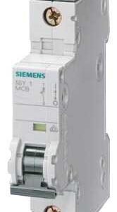 05 06 2023 13 10 45  thumb 5SY6140 7CC Siemens