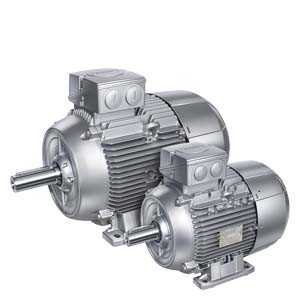 12 02 2025 17 22 13  thumb 1LE1001 1BB22 2AA4 Z D22 Siemens